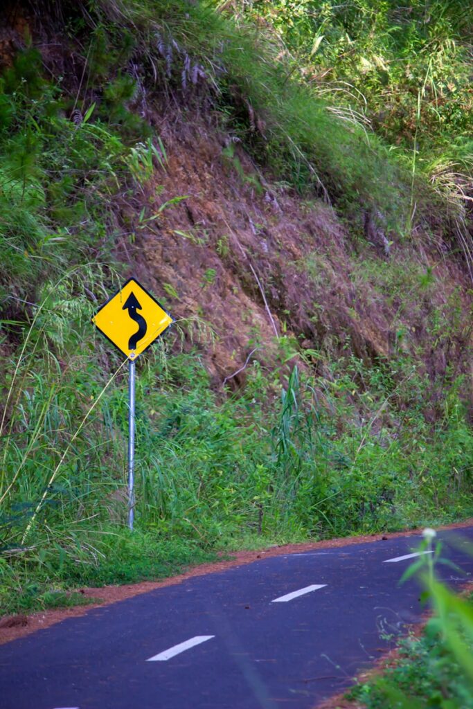 yellow and black road sign, indicating curves in the road ahead